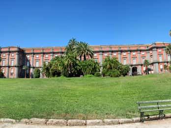 Museum and Royal Wood of Capodimonte Tours & Tickets