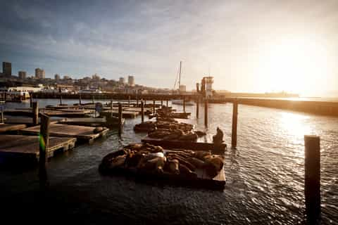 A Lot of Yachts Parking in Harbor at the Fisherman`s Wharf Pier 39