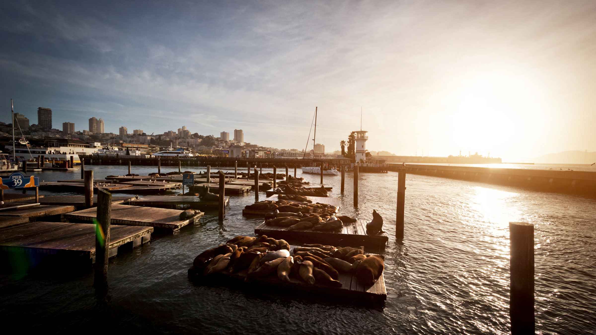 Pier 39 San Francisco