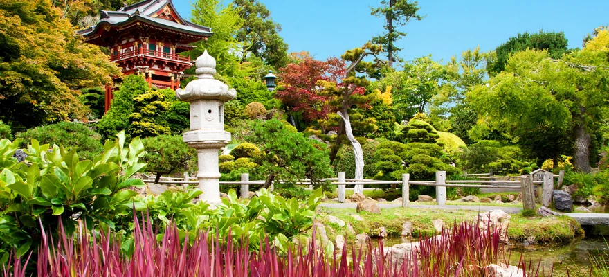 Japanese Tea Garden
