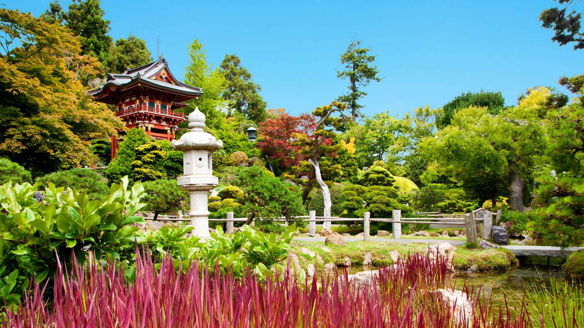 Japanese Tea Garden. 
