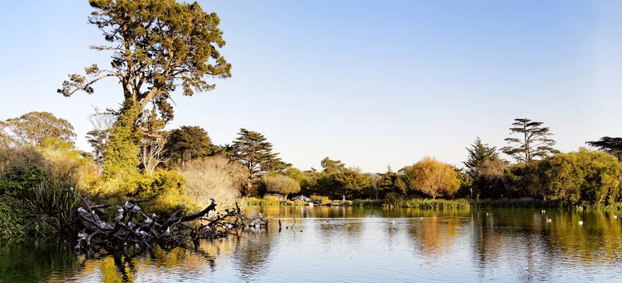 Golden Gate Park