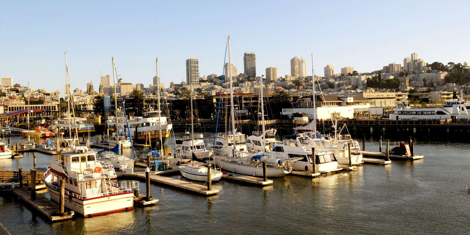 The BEST Fisherman S Wharf Tours And Things To Do In 2024 FREE   99 