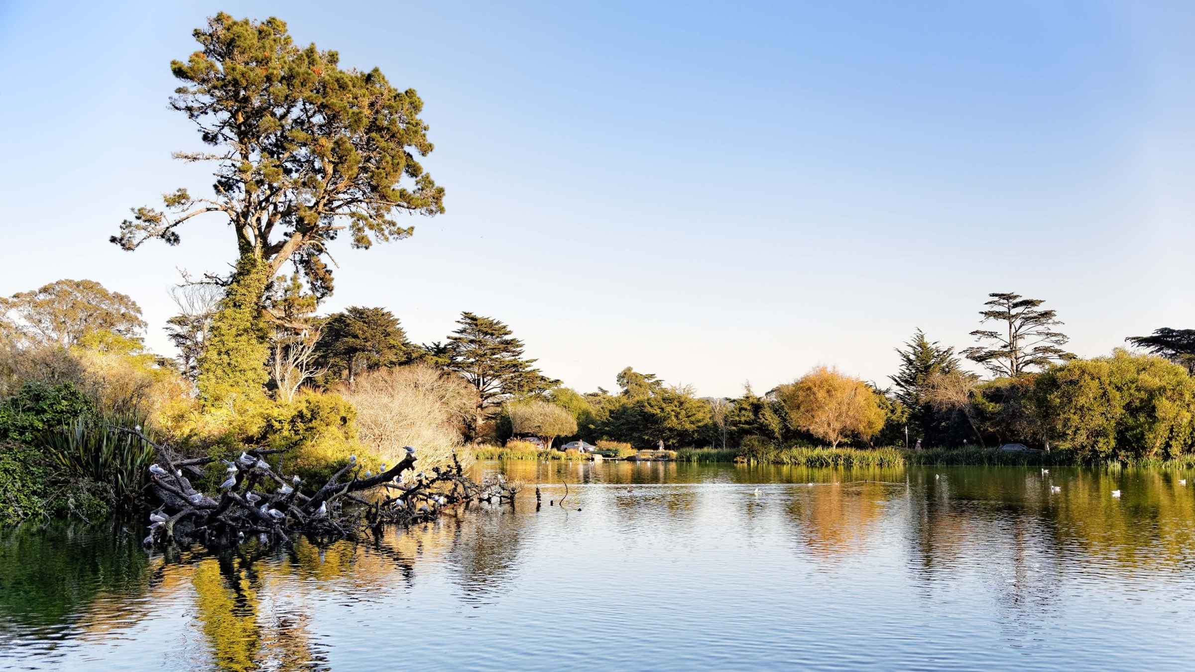 The BEST Stow Lake Riding Tours 2022 FREE Cancellation GetYourGuide