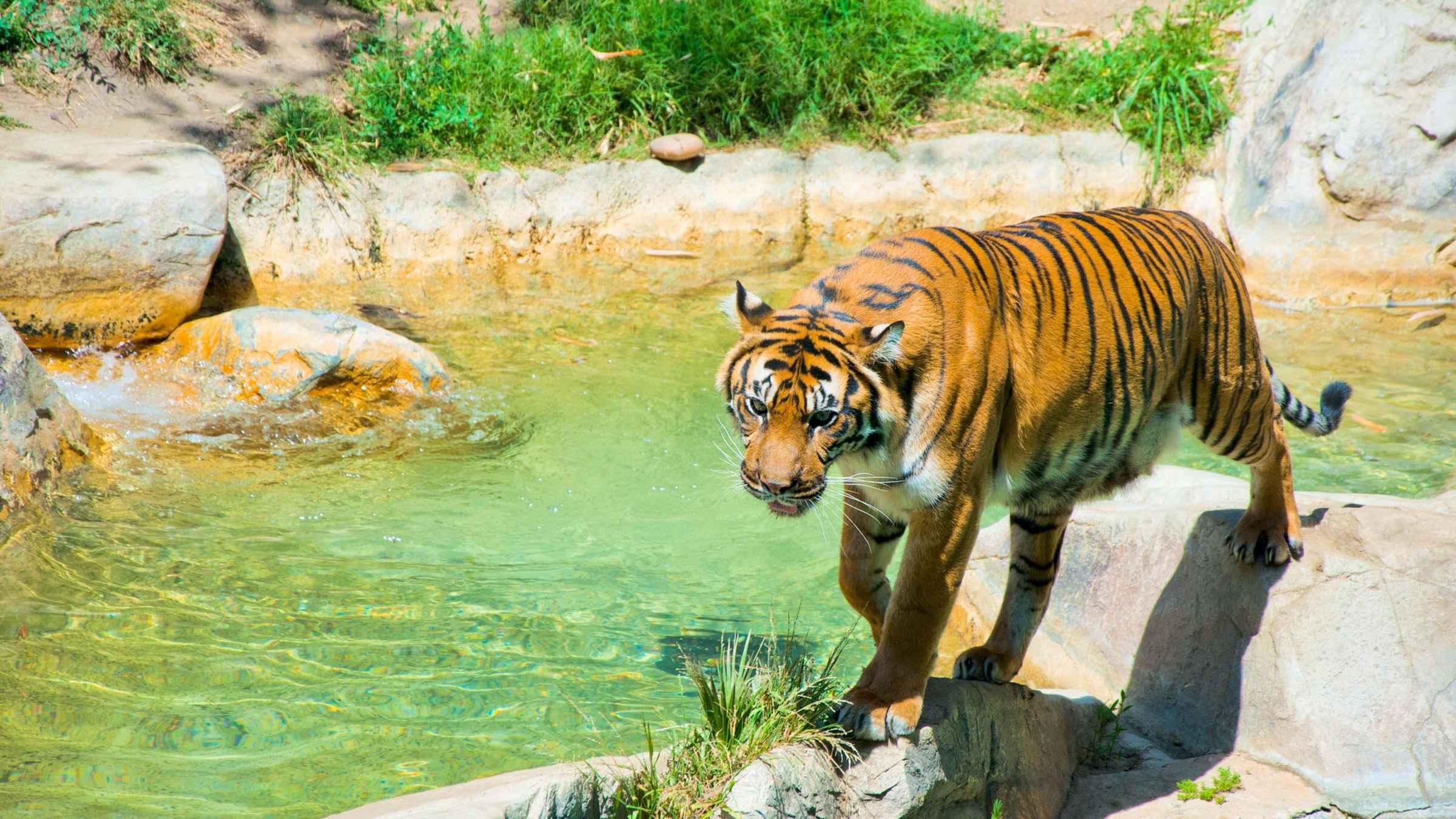 Los Angeles Zoo &amp; Botanischer Garten, Los Angeles