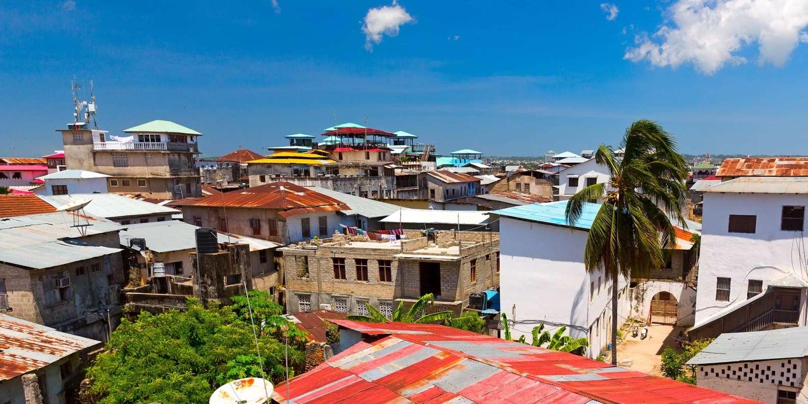 The BEST Zanzibar City Good for groups 2023 FREE Cancellation |