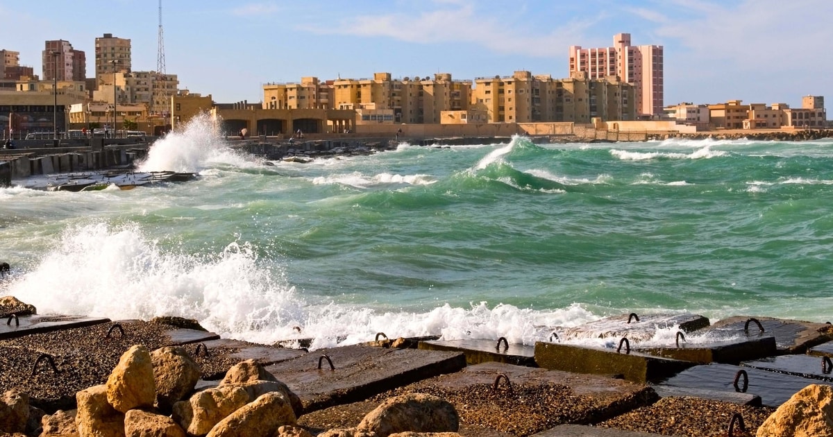 Alexandria 2020 Top 10 Touren & Aktivitäten (mit Fotos) Erlebnisse