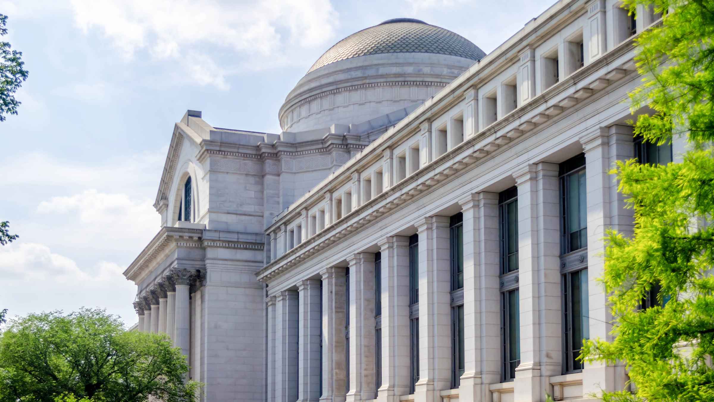 The BEST Smithsonian National Museum of Natural History Things to do