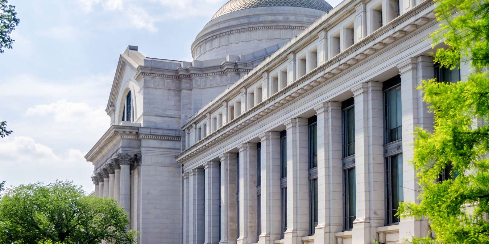 Do-It-Yourself Exhibits  Smithsonian National Museum of Natural