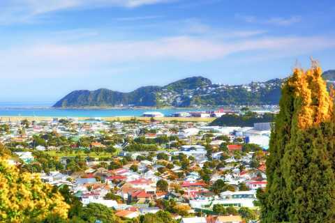 Day trips from Wellington