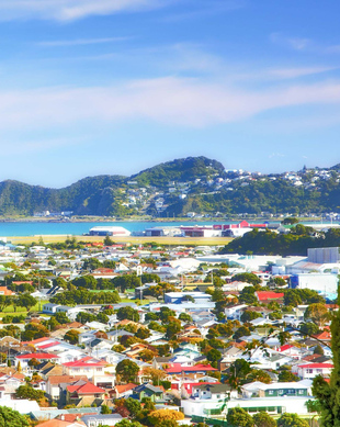 The BEST Wellington Tours and Things to Do in 2024 - FREE Cancellation ...