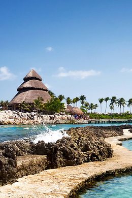 All activities from Riviera Maya