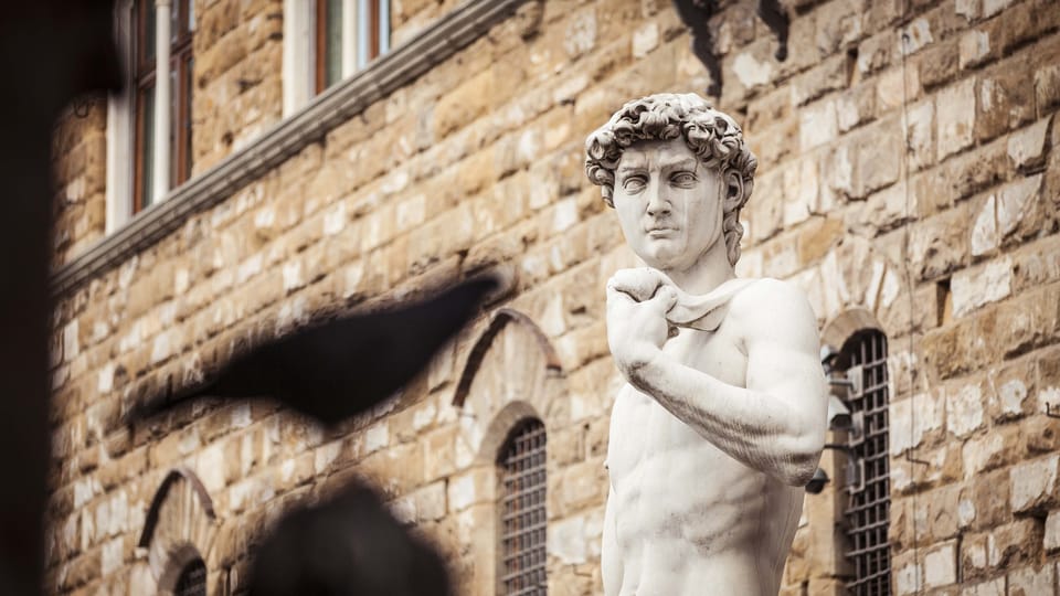 Michelangelo David Up Close