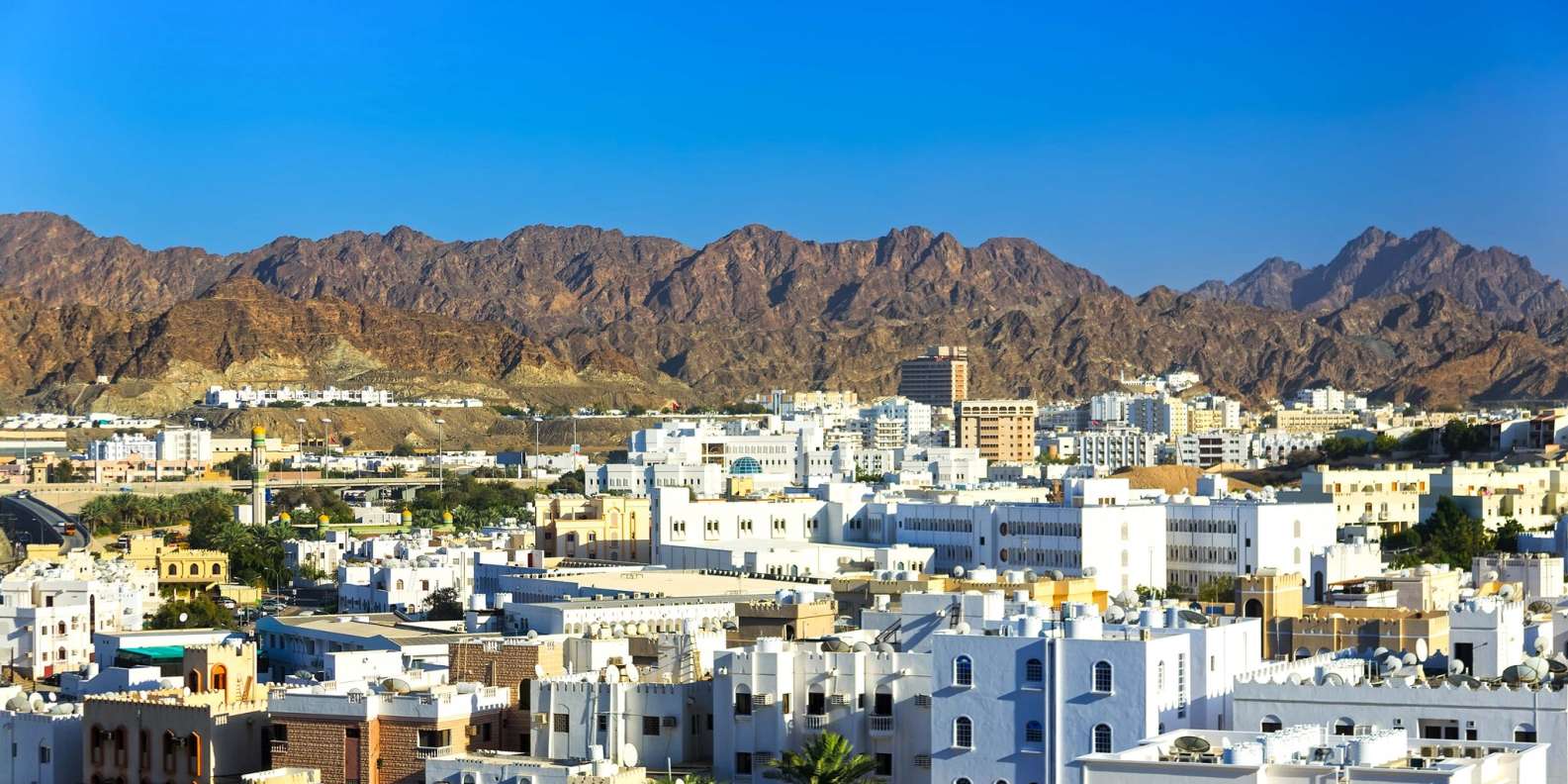 Discover Muscat's Wild Side: Safaris and Wildlife Activities