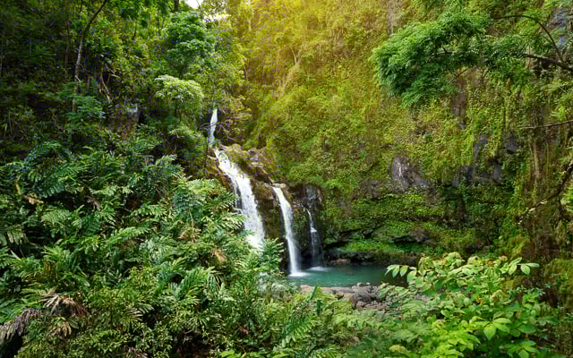 Upper Waikani Falls, Maui