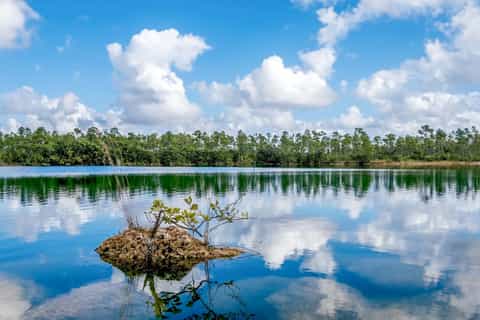 The BEST Homestead Tours and Excursions in 2026 - GetYourGuide