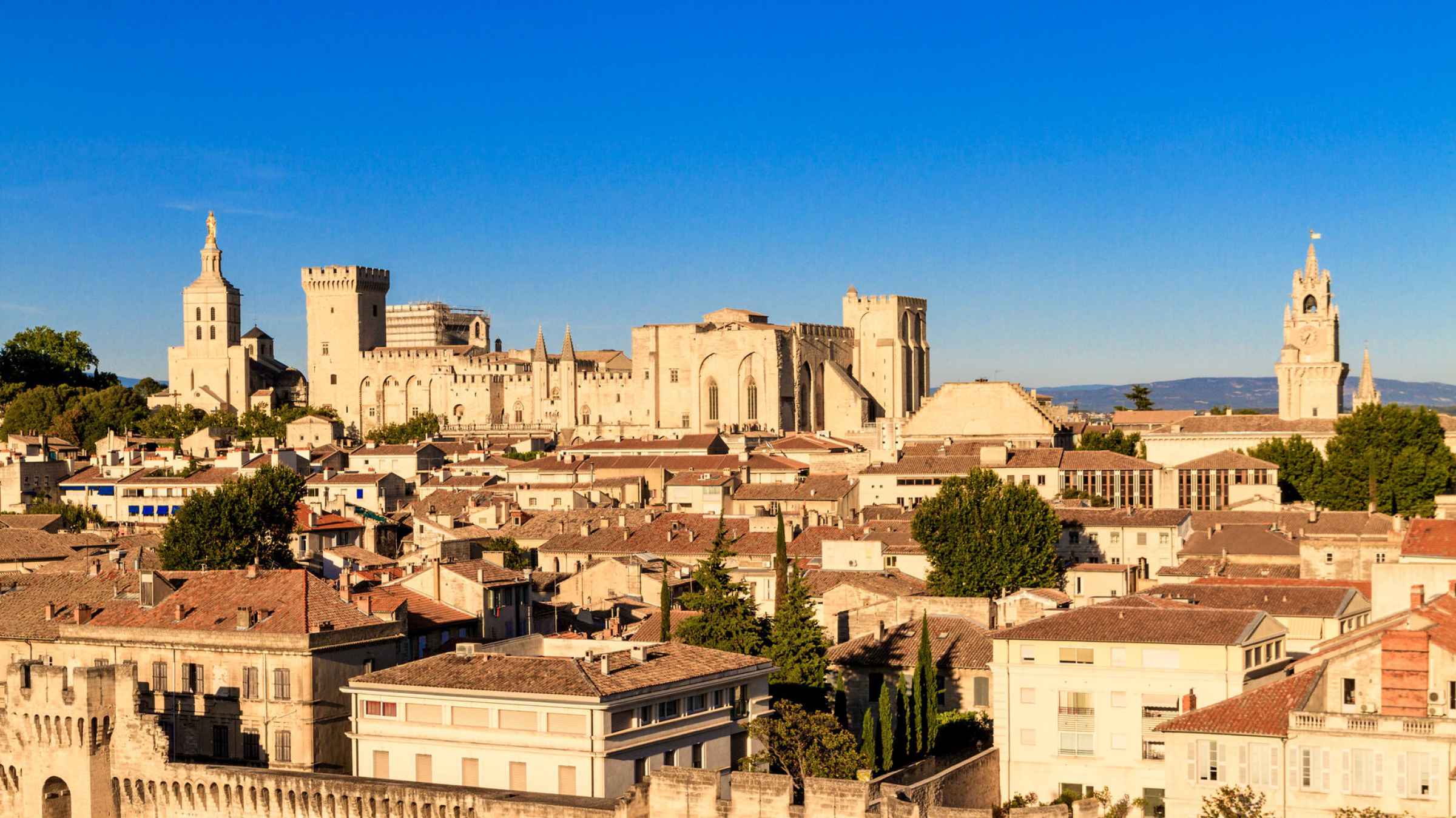 provence wine tour from avignon