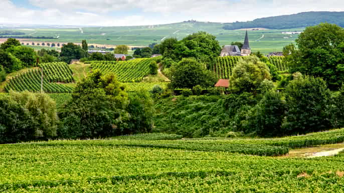 Day trip to Reims