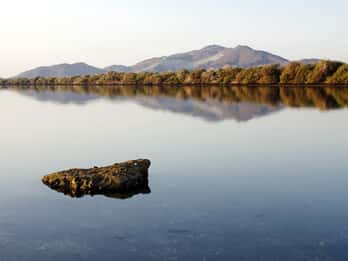 Kalba Matkat ja Liput
