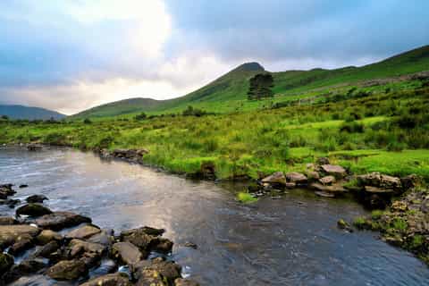 Ireland: Cruises & boat tours