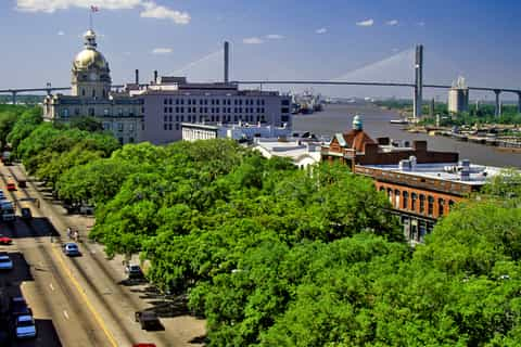 Savannah: Night tours