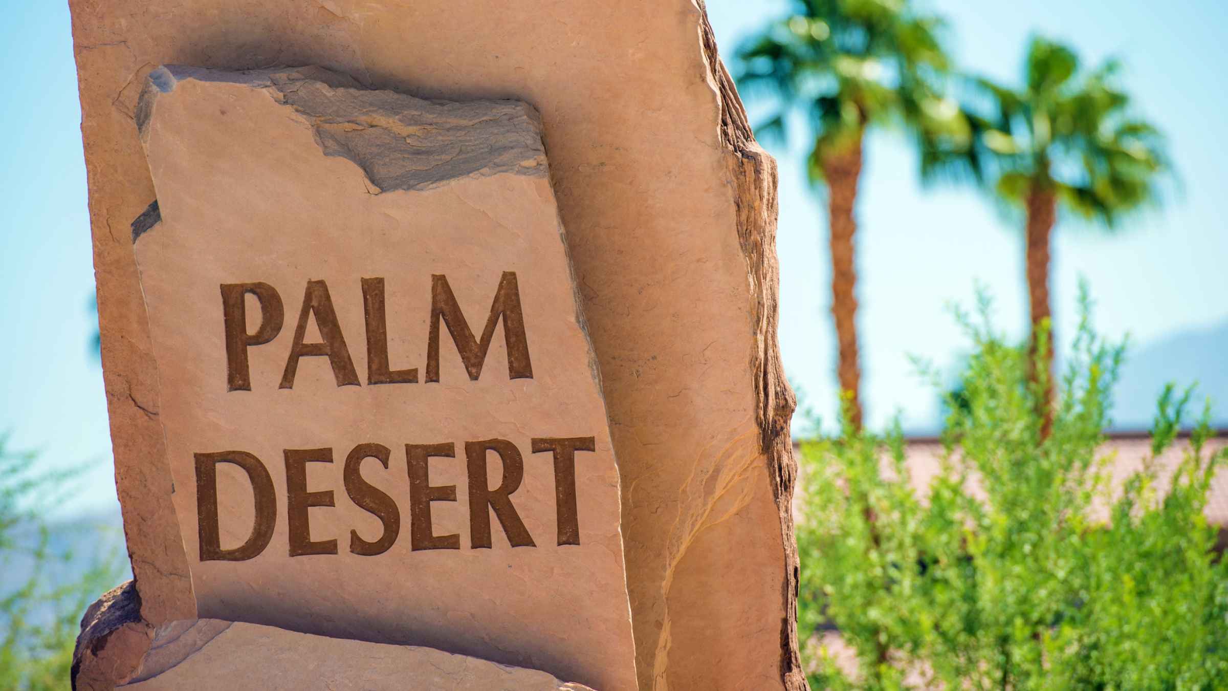 desert palm tours