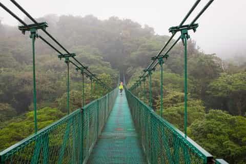 Monteverde: Night tours