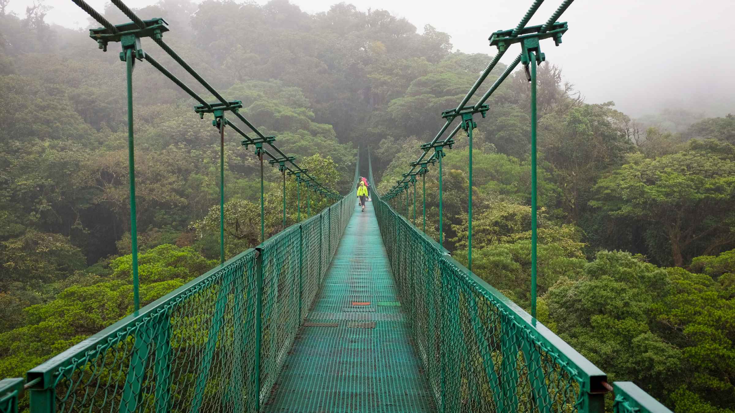 Monteverde 2021: Top 10 Tours & Activities (with Photos) - Things to Do ...
