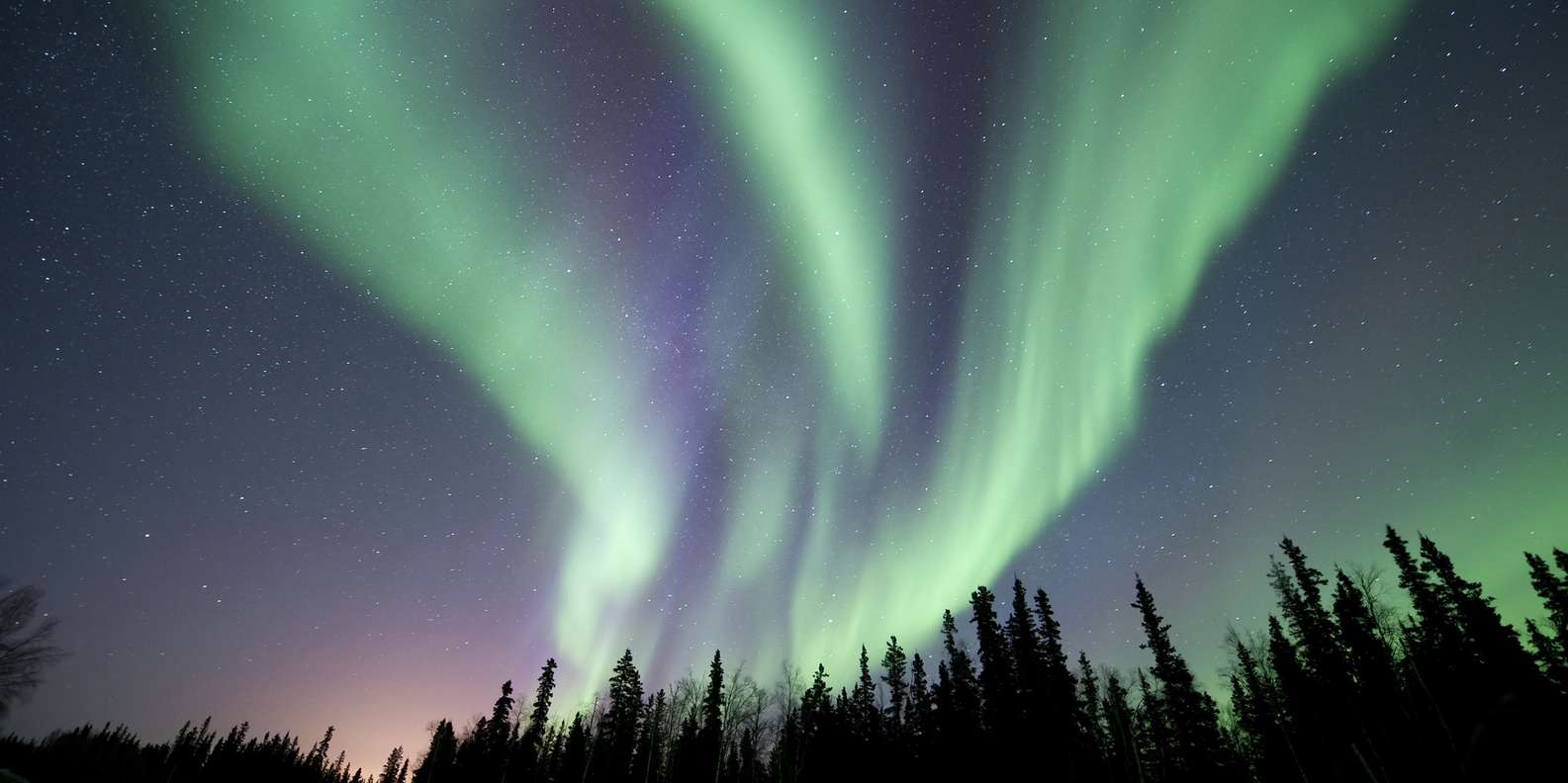 Aurora Boreal Ao Vivo dançando no Céu 