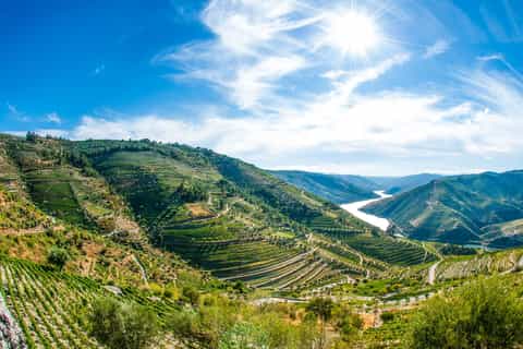 Portugal: Wine tasting & winery tours