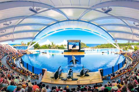 Loro Parque