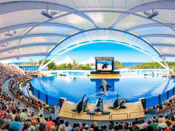 Loro Parque Matkat ja Liput