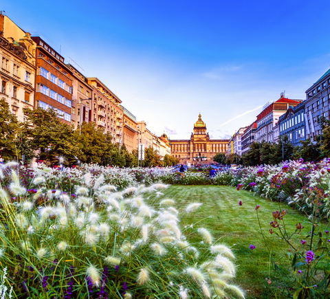 Reisende anbefaler
