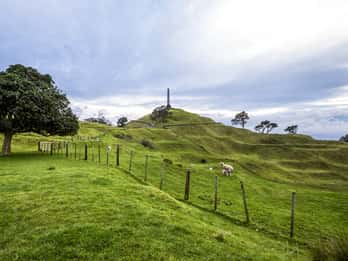 One Tree Hill, Auckland