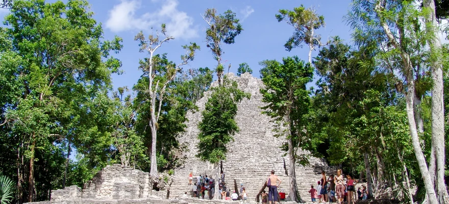 Cobá
