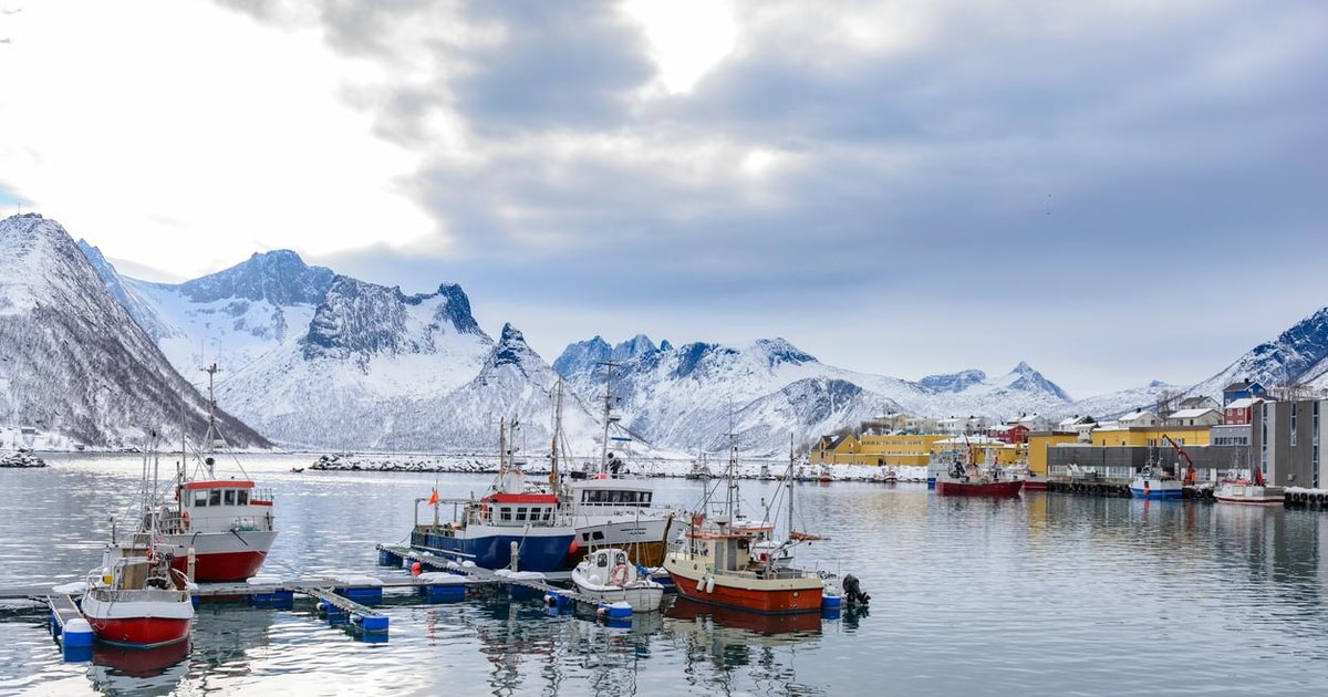 The best Senja Multi-day trips - 2026 (Verified Reviews)
