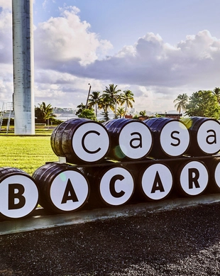 Casa Bacardi, Cataño