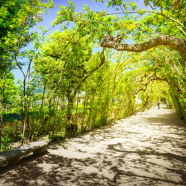 Travelers recommend