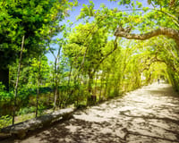 Boboli-tuinen in Florence