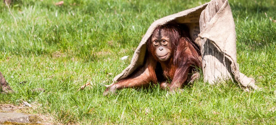 Zoologischer Garten Berlin