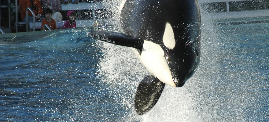 SeaWorld San Diego