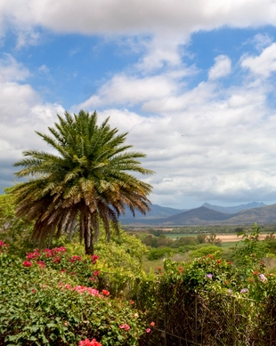 Casela naturpark