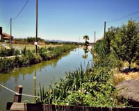 Albufera in Valencia