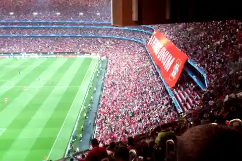 8. Estádio da Luz