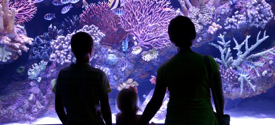Aquaria KLCC
