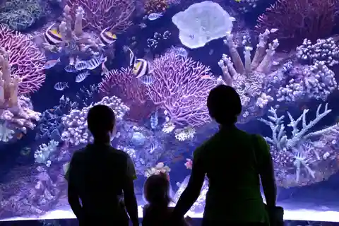 3. Aquaria KLCC