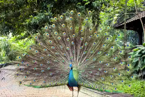 10. Park ptaków w Kuala Lumpur