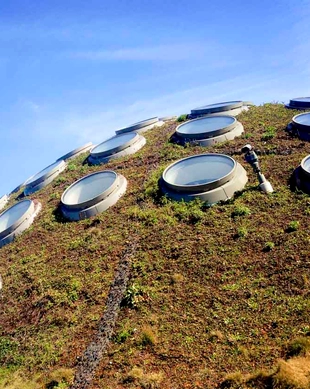 California Academy of Sciences