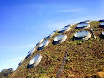California Academy of Sciences Touren & Tickets