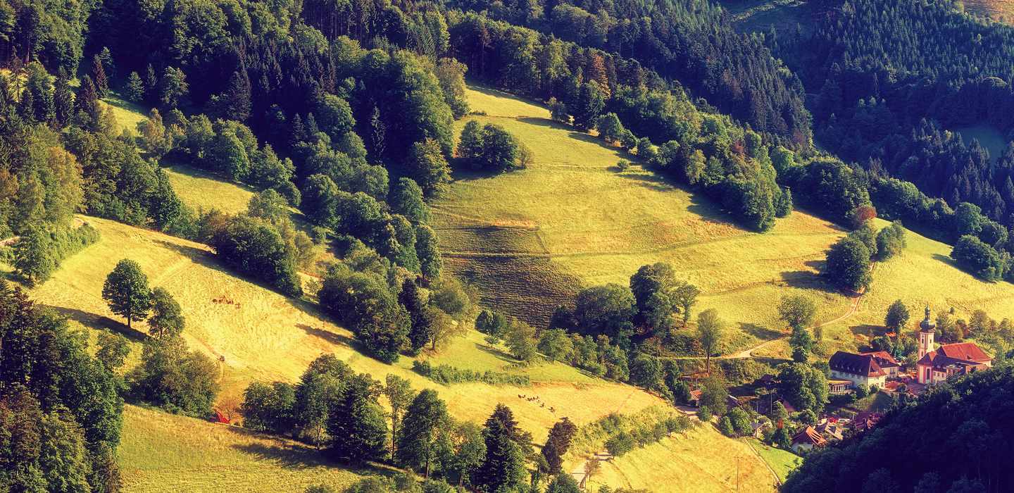 The BEST Black Forest Tours 2023 FREE Cancellation GetYourGuide